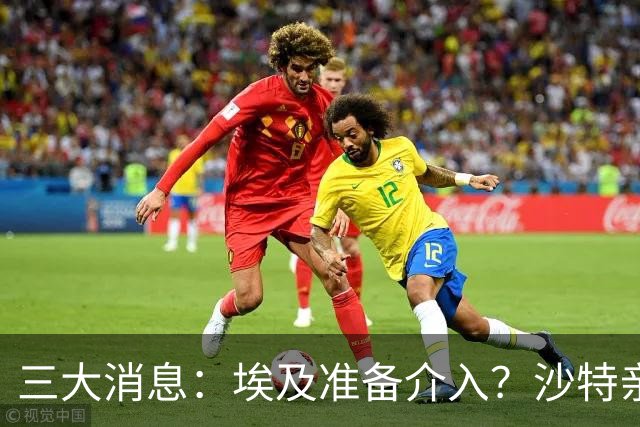 三大消息：埃及准备介入？沙特亲王求助中国，南部地区打响保卫战