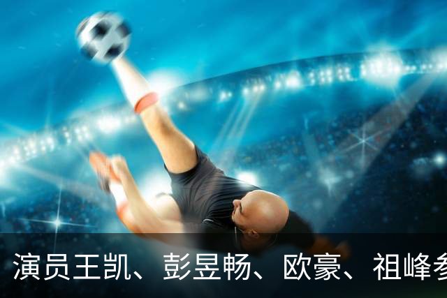 演员王凯、彭昱畅、欧豪、祖峰参加座谈会