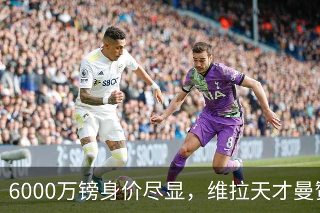 6000万镑身价尽显，维拉天才曼赞比闪耀英超